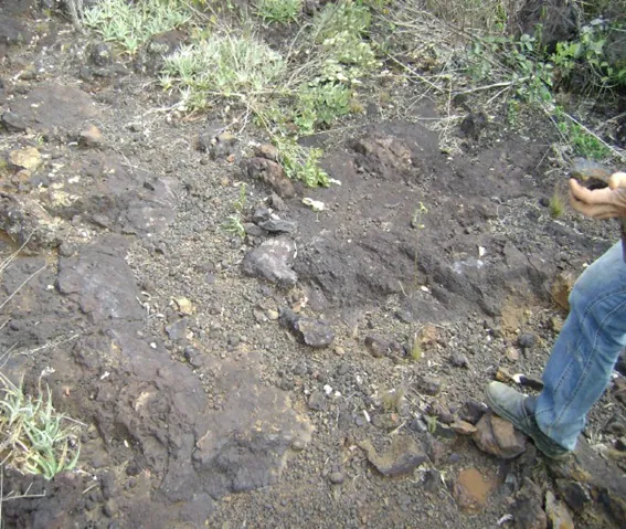 Manganês – Projeto Mineral – Minas Gerais/MG 