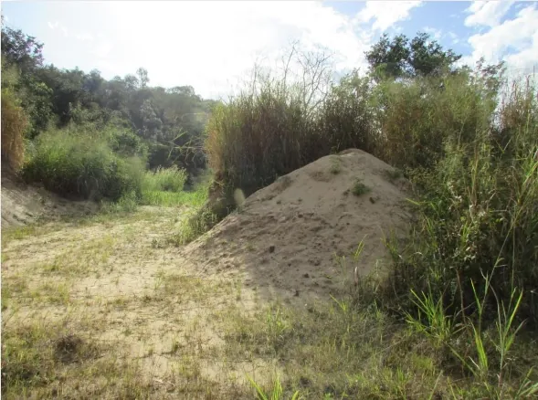Areia Fina com Alto Teor de Sílica – Região de Campinas/SP